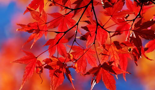 宁波东钱湖顶级度假酒店,宁波东钱湖旅游度假酒店推荐