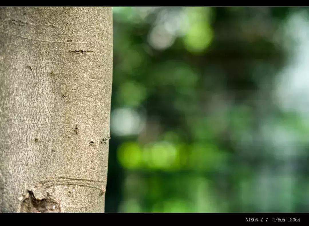 七工匠35mmf1.4和50mmf1.8,七工匠55mmf1.4价格