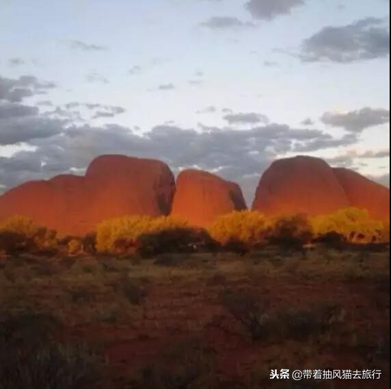 澳大利亚极致之旅,来澳大利亚必买
