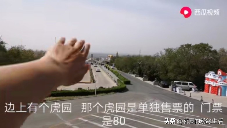 沈阳怪坡虎园,沈阳怪坡