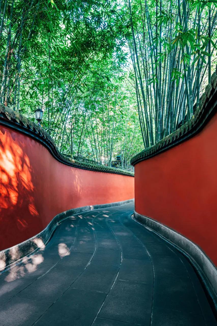 这样的成都你还爱吗,这样的成都你见过吗