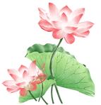 面向全市招生的普通高中自主招生,普通高中自主招生有报名门槛吗