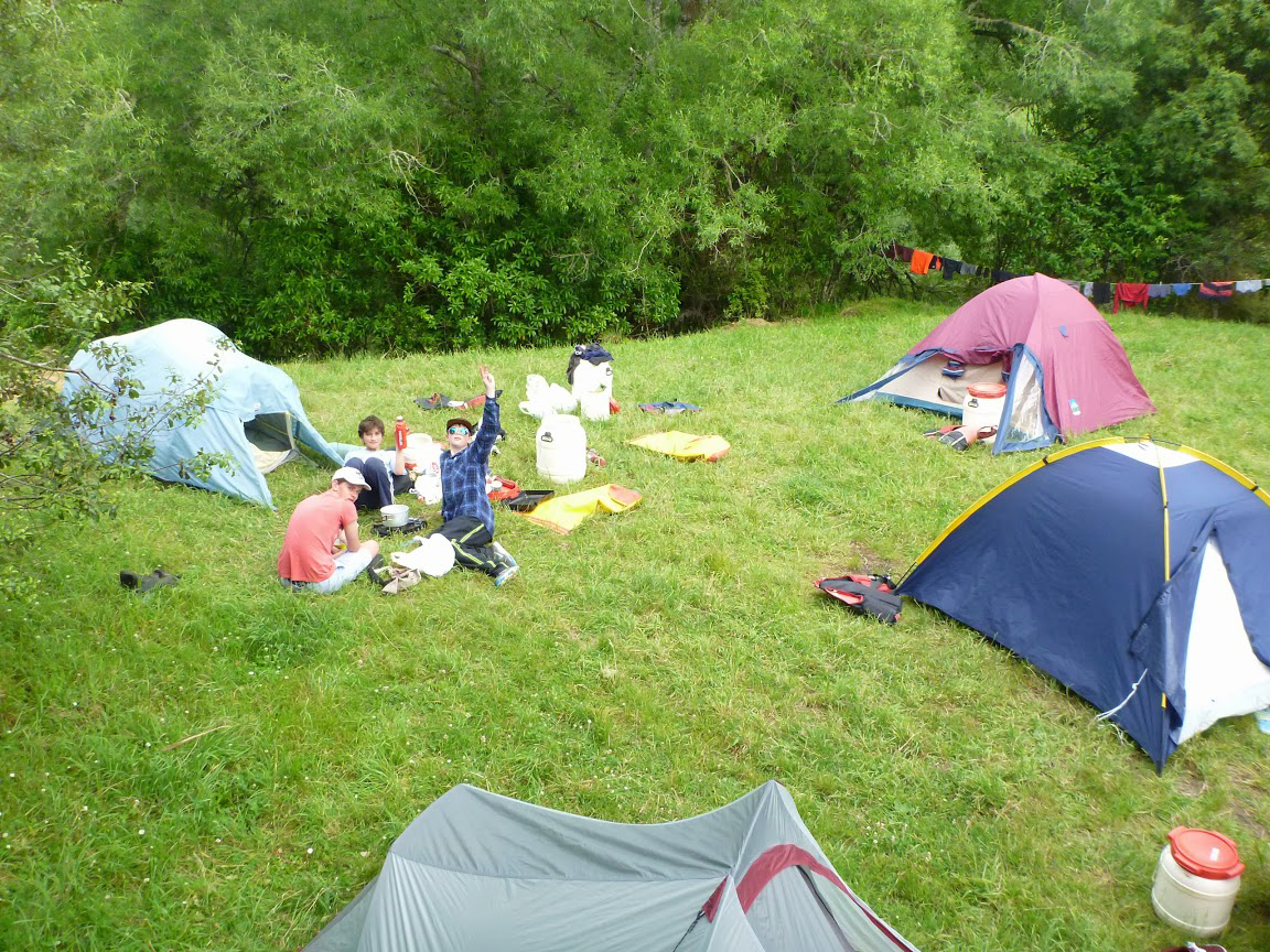 新西兰好的学校,新西兰好的大学有哪些