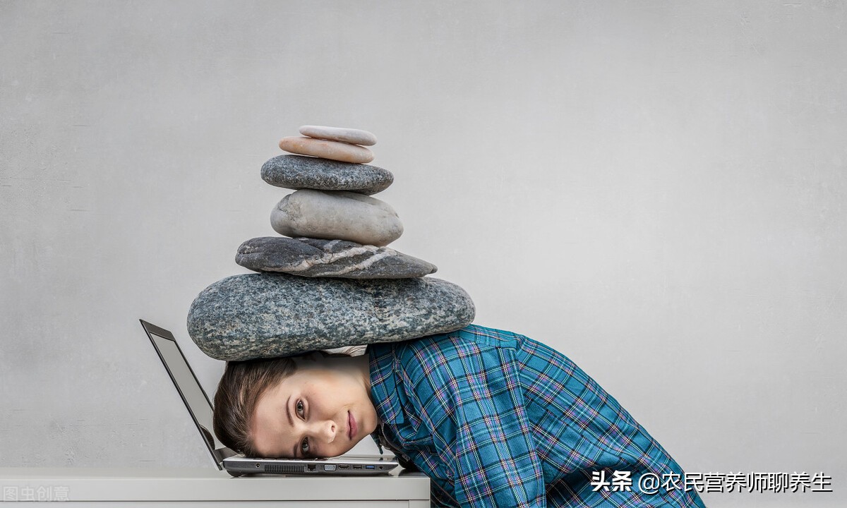 农民叫它“鸡头参”,加枸杞煮水,让爷爷童颜焕发,值得一看