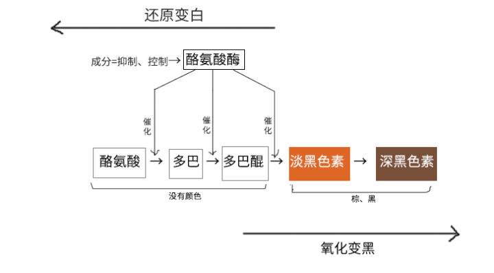 脖子被太阳晒黑了怎么才能变白,被太阳晒黑怎样变白女生