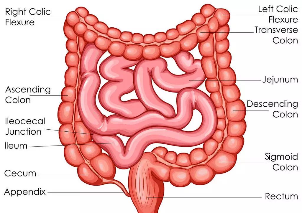 发无名火、中年阳痿、腿部痉挛......当心！也许是这种病惹的祸