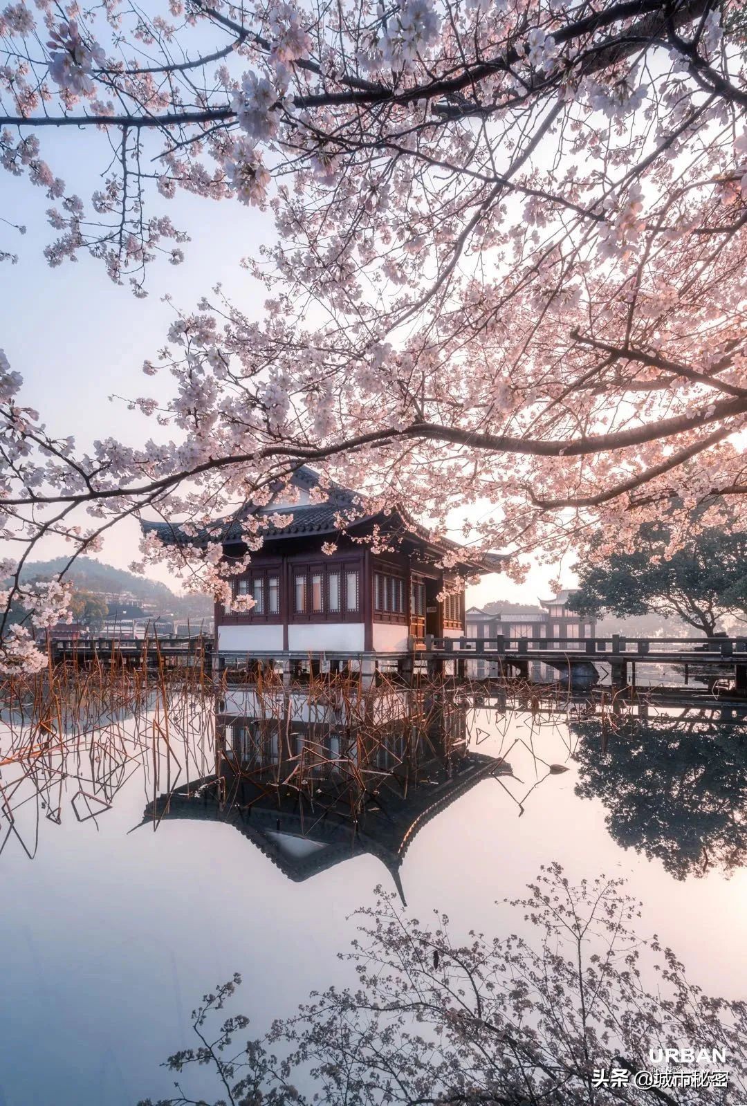 江南100，杭州99