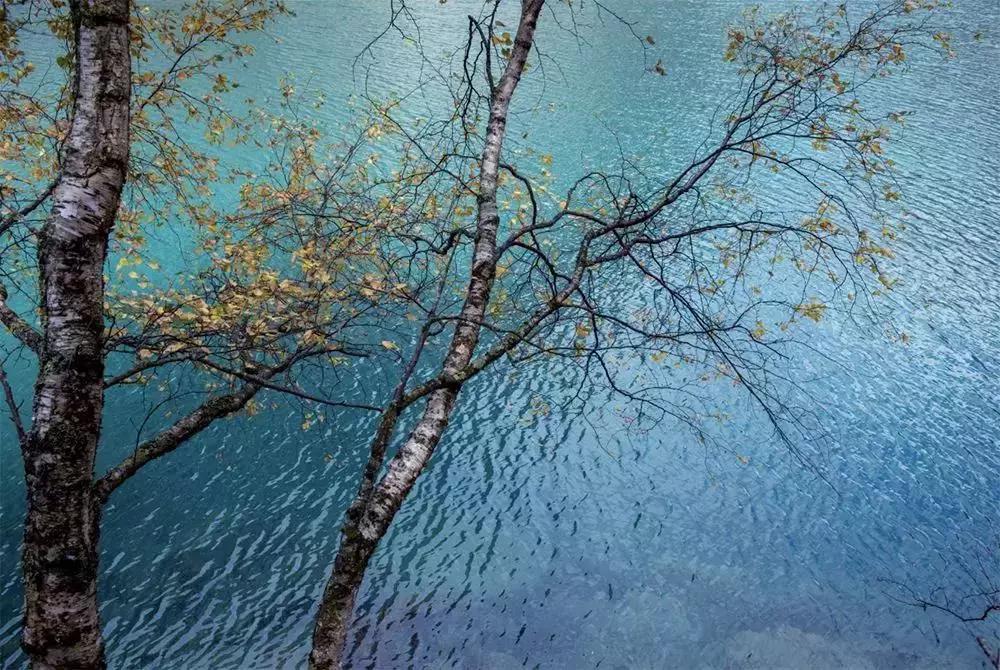 有一种努力叫靠自己视频,有一种努力叫靠自己经典语录