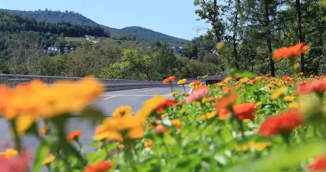 旅游景点畅玩团购,景点游玩优惠团购