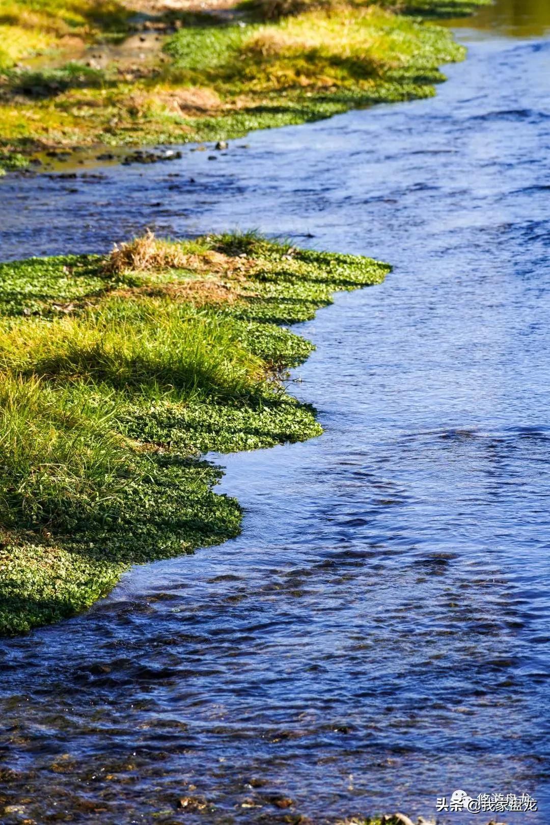 100张照片一百种幸福,100张图片带你去云南
