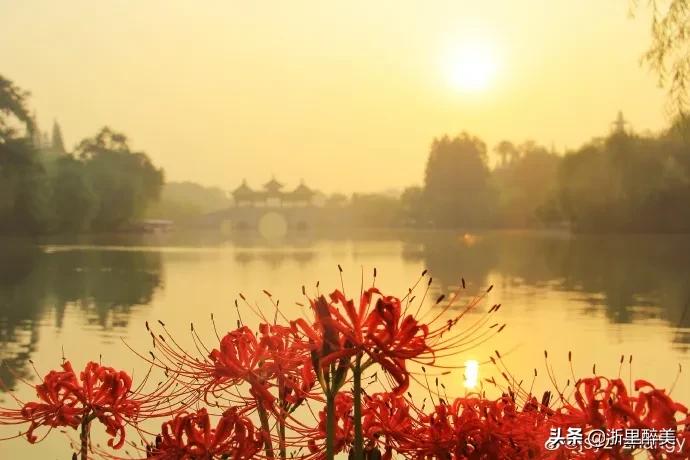 湖光秋月两相和古诗,湖光秋月两相和的诗意