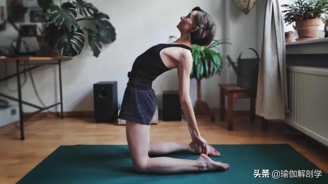 一套适合晨练的瑜伽序列越练越美,初学者简单瑜伽每天必练8个动作