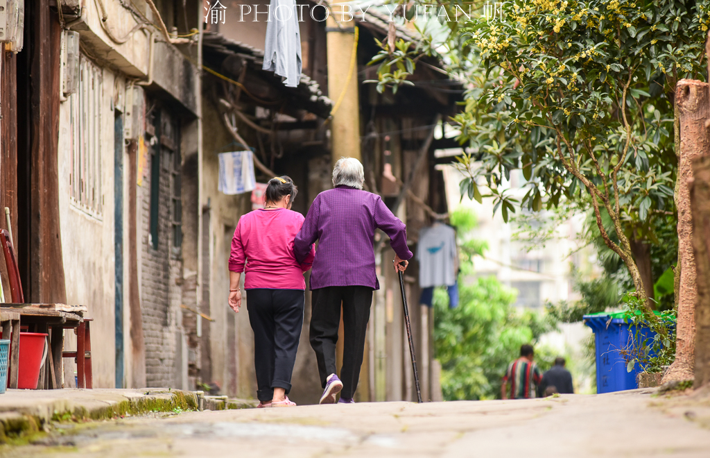 周末去哪儿玩重庆巴南,巴南周末户外带孩子去哪里玩
