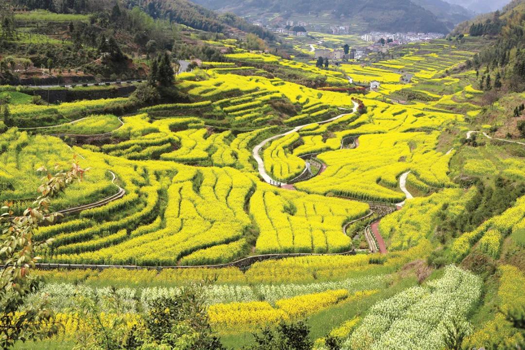 新闻早报：衢州水亭门皂木巷片区建设工程启动儿童公园开放