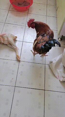 学会这招不愁找不到女朋友,学会这几招不怕找不到女朋友