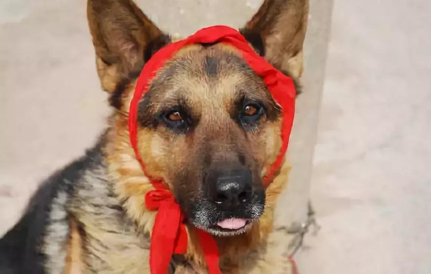 穷人怎么选择发型,适合穷人用的挂机头