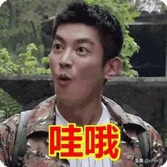 阿德莱德大学怎么样？赶紧来看看这所低调的实力派大学吧