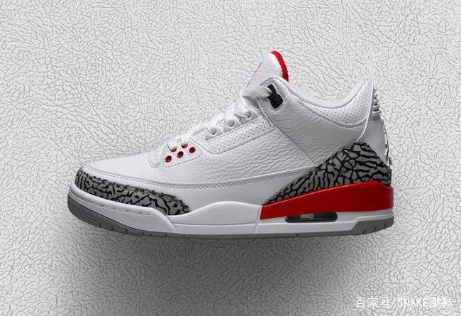 snakes资讯,snake最新信息