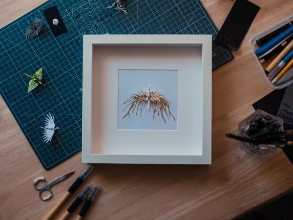 1000天1000只纸鹤,他折的纸鹤让自己走出抑郁……