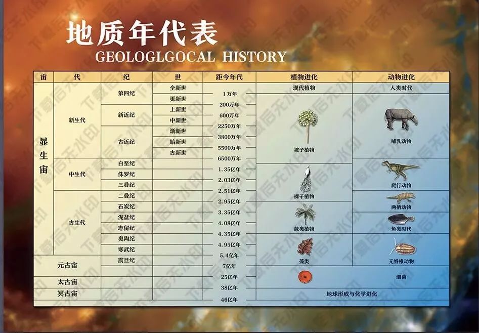 恐龙灭亡到人类诞生中间有多久,恐龙灭亡到人类诞生多少年