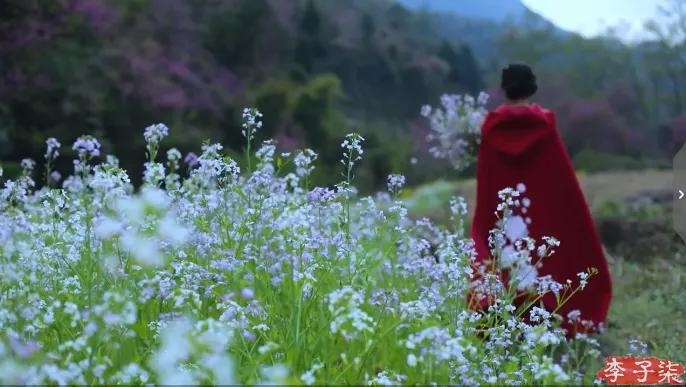 菜吧：又火了！李子柒“鲜花宴”再次火爆全网！数千万网友看酸了