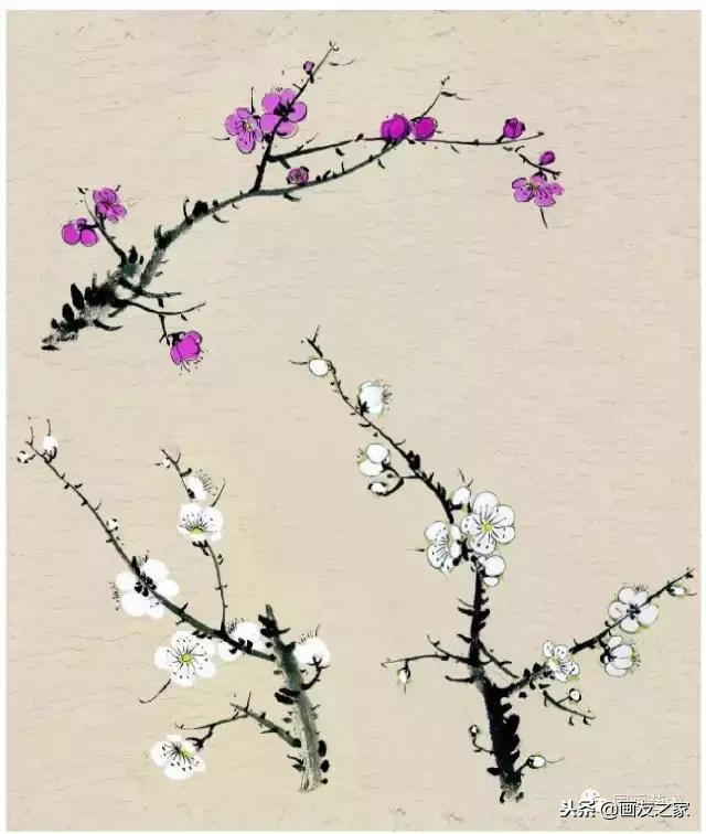 董寿平国画梅花老树干的画法,国画梅花花瓣的画法视频教程