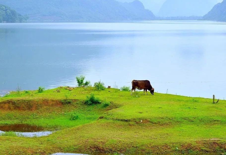 所有养生都是徒劳看完就明白了,你以为的养生方法可能全是错的
