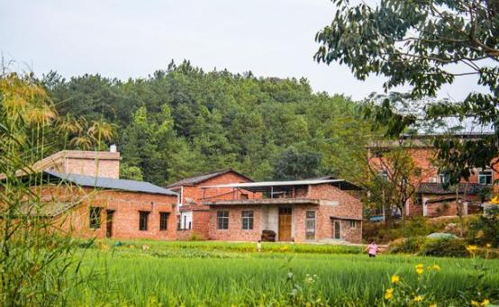 返乡创业致富有哪些挣钱点子,农业农村部返乡创业