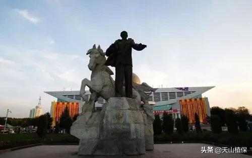 上榜啦！*疆新**鸟市和石市即将被国家命名！未来发展不可估量