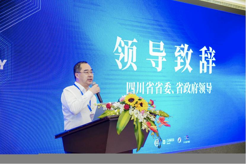 自主软件开发平台,软件开发自主可控