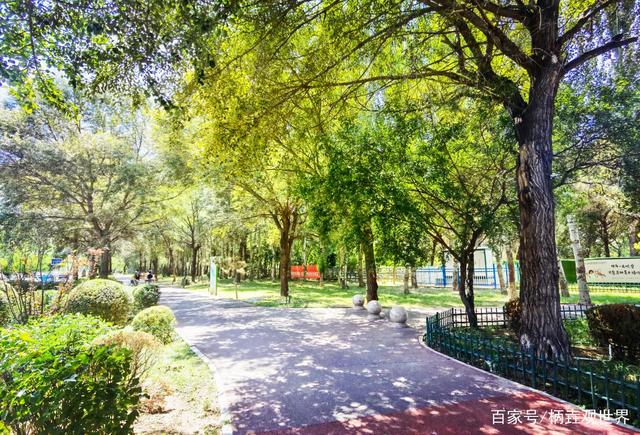 包头为什么成为重工业城市,包头为什么叫包头市