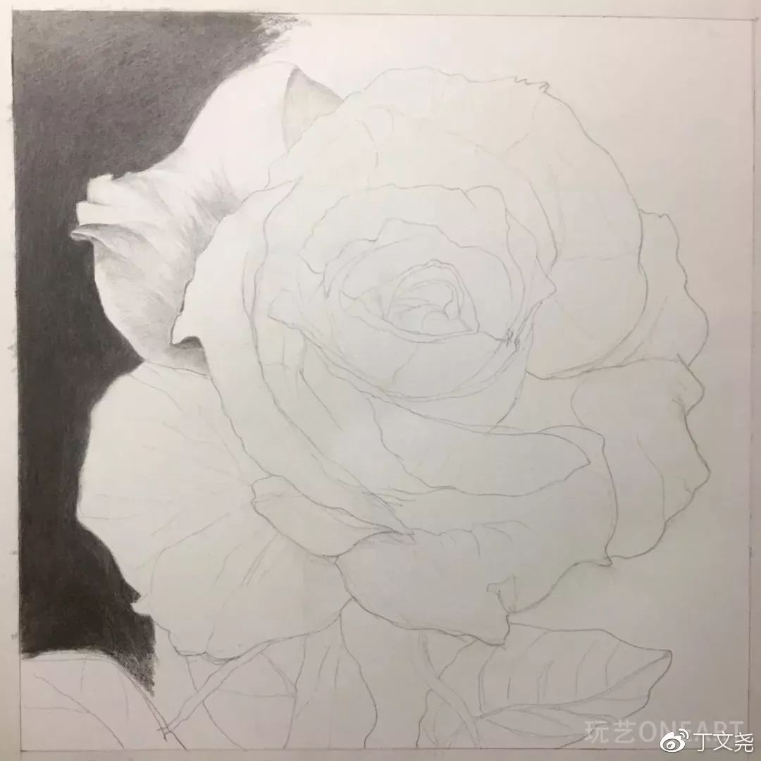 素描基础绘画教程郁金香,素描丁程鑫详细教程