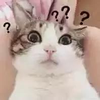 beatssolo3wireless音质测评,beatssolo3wireless体验