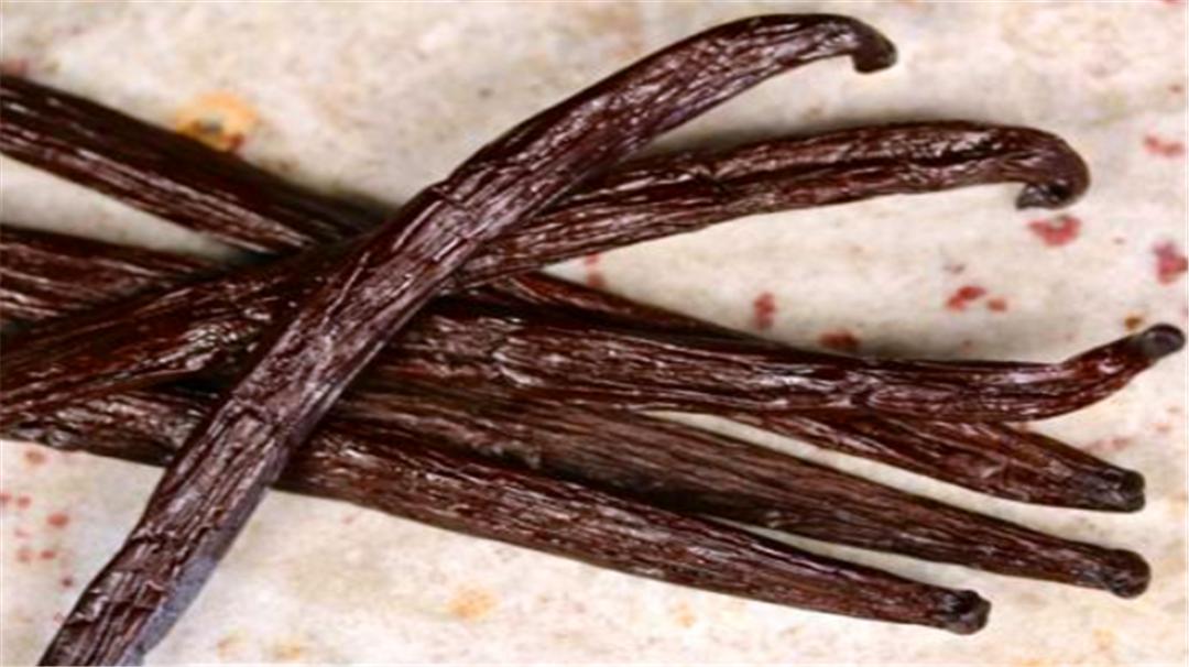 香草的味道原本是臭的？还是世界上最贵的香料，太出乎意外了