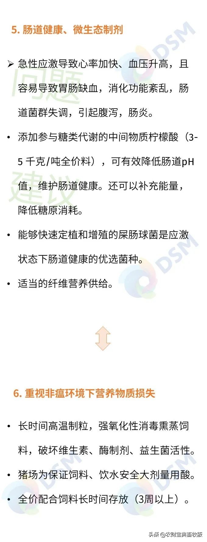收藏！与非瘟共舞下，猪群的应激源应激大了，怎么办？试试看这四大策略