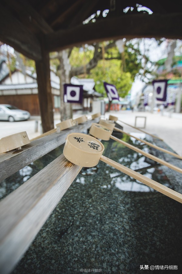 邮轮游选择哪个游轮好,邮轮旅游全攻略公主号