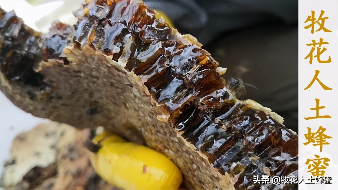 土蜂蜜的价格农家,皇名土蜂蜜价格是多少钱一瓶