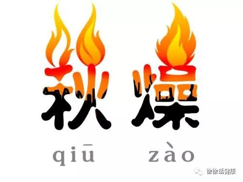 橘子皮晒干就是陈皮吗,风干的橘子皮算陈皮吗