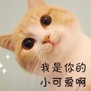 基金赚钱效应强赚超70%名单来了,3步教你选出年赚30%的基金