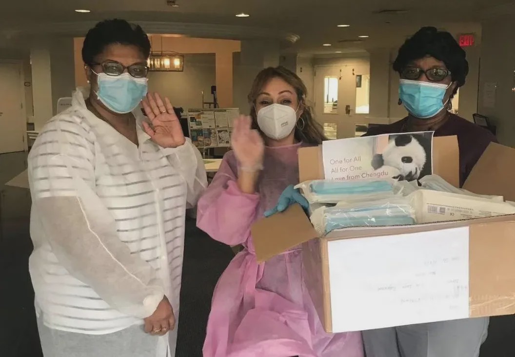 “温度”的师资，“韧度”的国际课程体系。青苗，你的不二之选