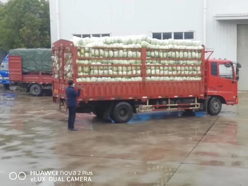 【战疫行动】黄州人,你下单代购的蔬果都是从哪里、怎么来的?——保供“战场”系列报道(四)