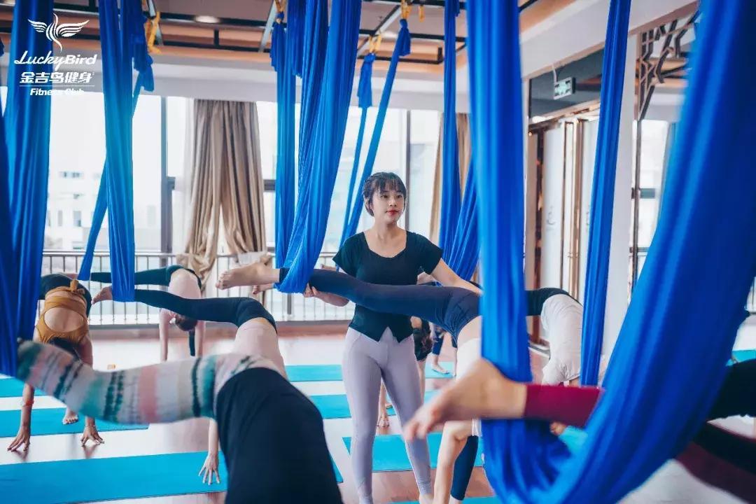 yoga从零开始,yoga的风格是什么