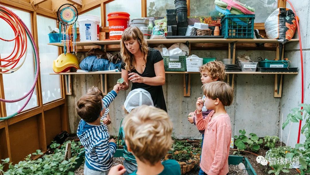 华德福蒙氏瑞吉欧,幼儿园选蒙氏还是外教好