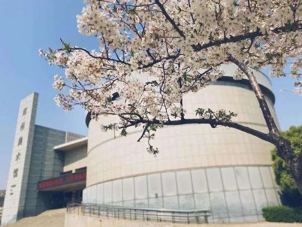 看看郑州的博物馆,郑州博物馆旅游