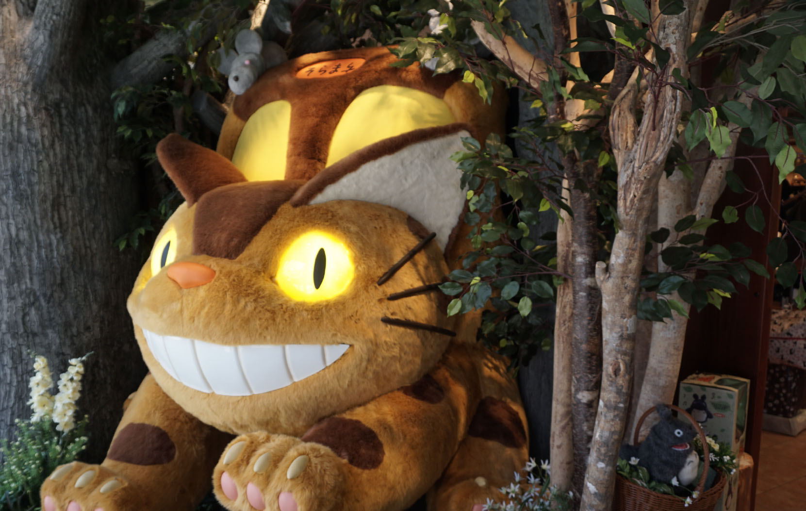 日本东京筑地市场游玩攻略,日本东京银座旅游攻略