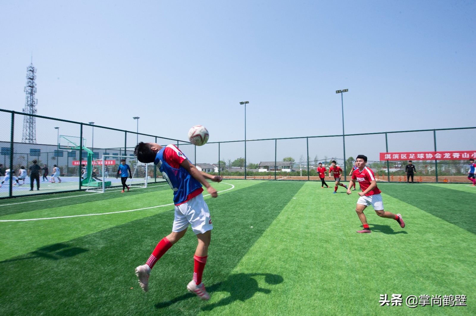 河南鹤壁开发区龙岗小镇,鹤壁淇滨区农佳高效生态园