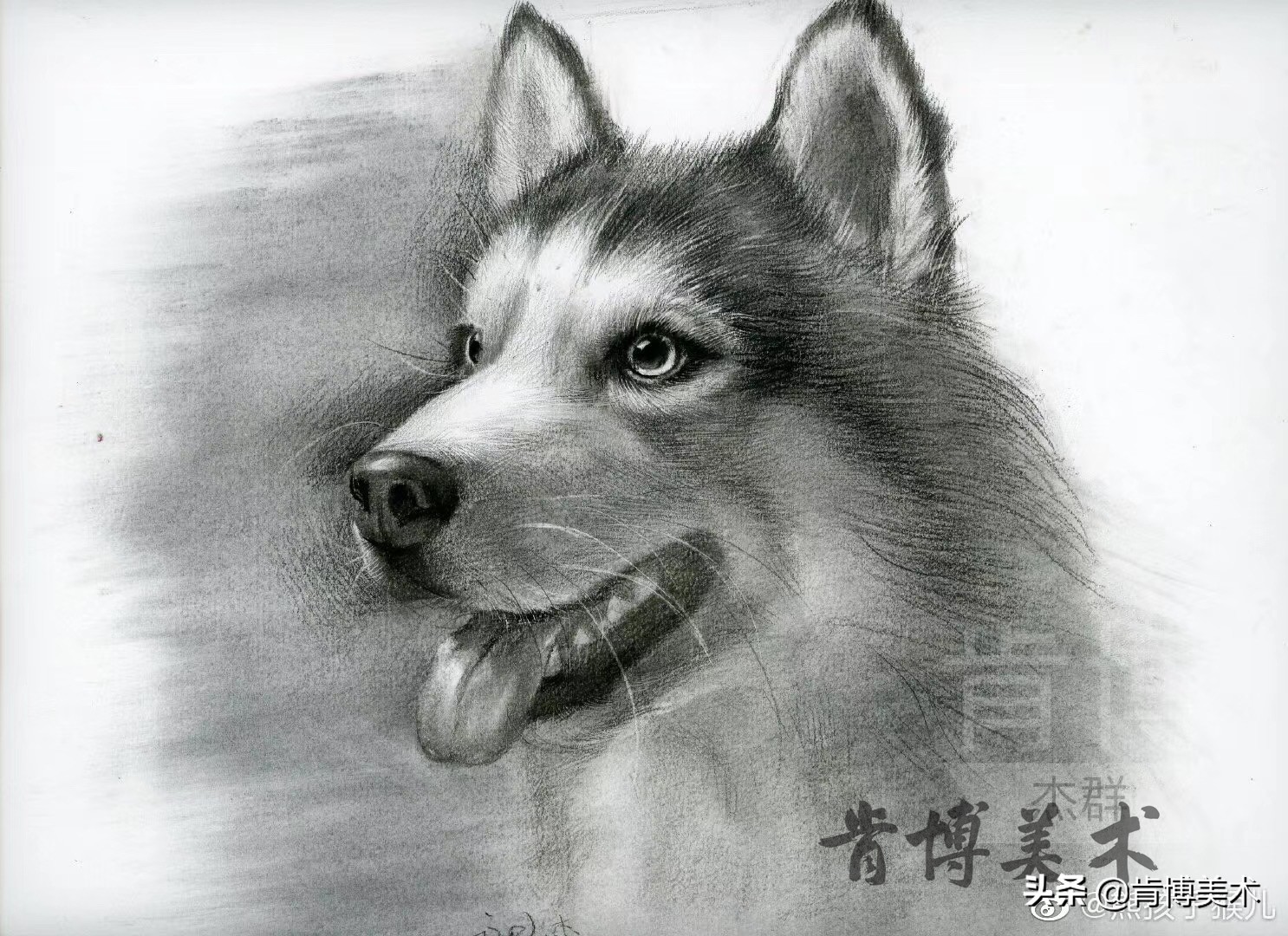 动物毛发素描,素描如何表现动物毛发