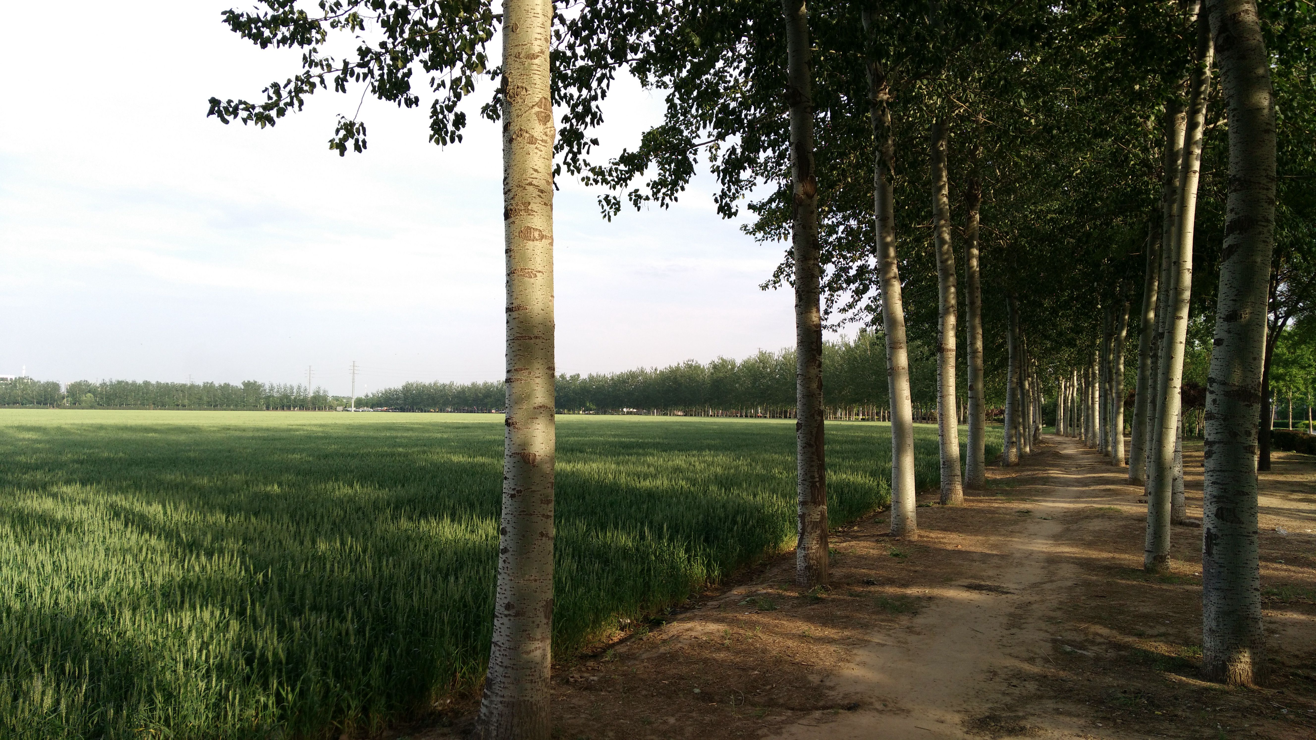 1366x768跟1920x1080区别很大吗,1366x768是超清吗