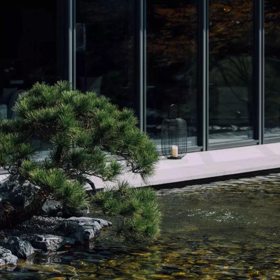 苏州山水樾澜庭劣势,苏州山水樾澜庭