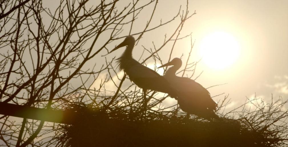 18年感人的爱情故事视频,18年的爱情故事